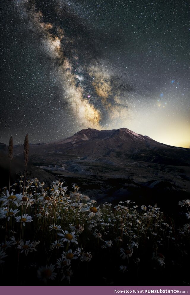 Wildflowers, a volcano, and the Milky Way. [OC]