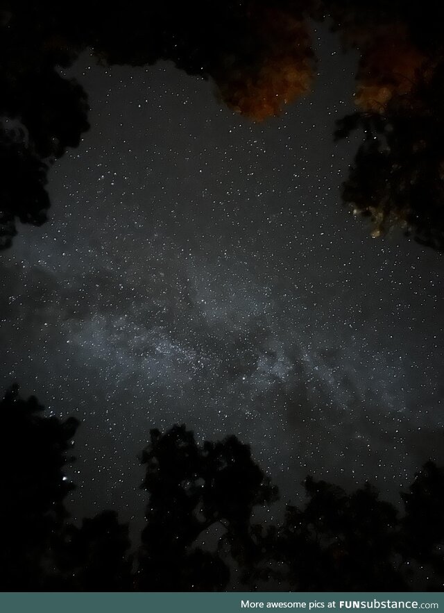 Picture I took at Gila National Park, the night of the eclipse