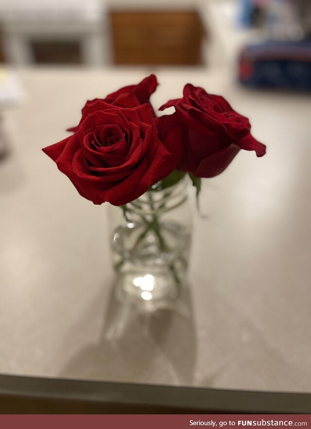 [oc], parking garage roses