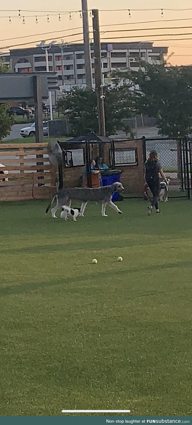 I took a Panorama at a dog park I work at and caught this