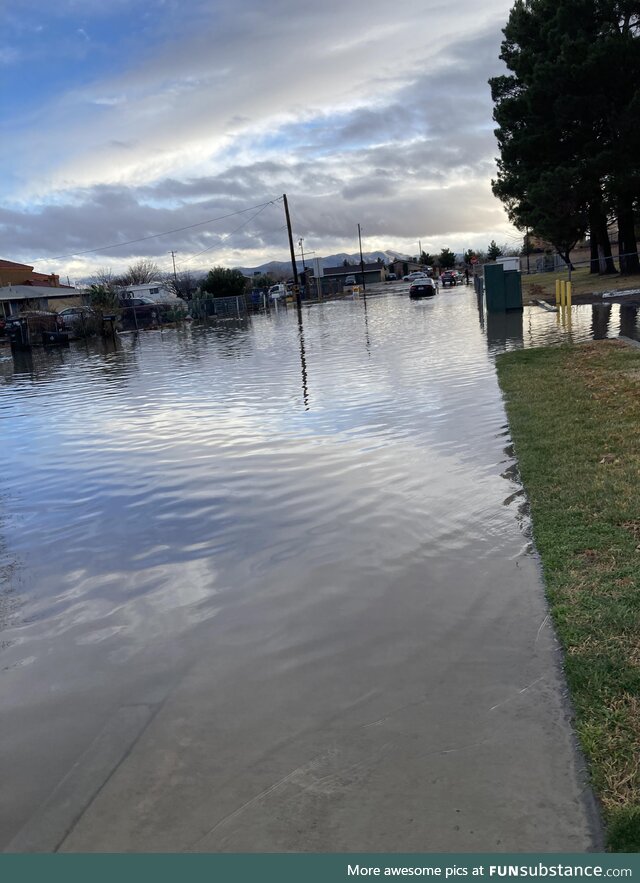 My street today