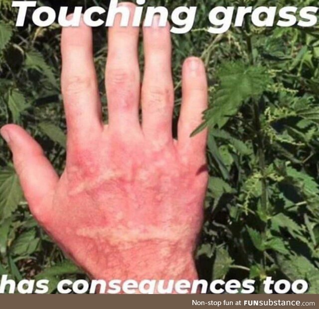 "Touch grass" they said