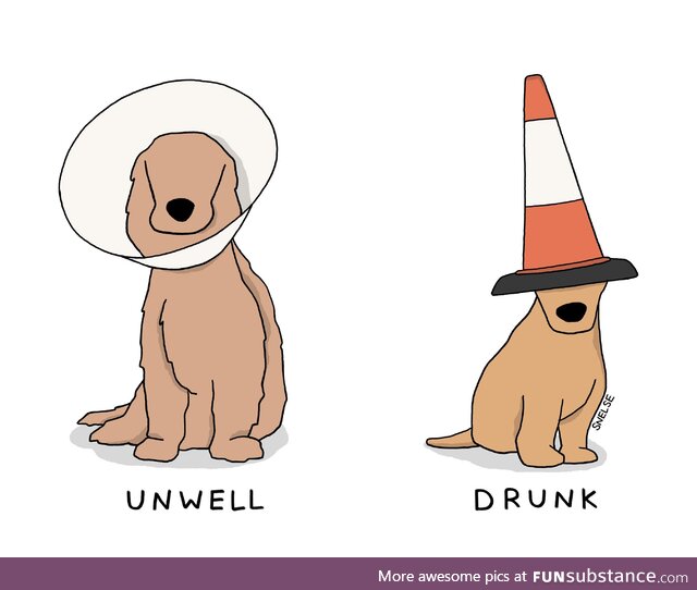 [OC] There are 2 types of dog cones