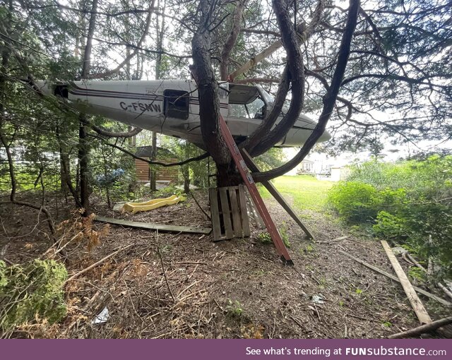 Found this plane online for 100 bucks and I stuck it in the tree for a treehouse. Updated