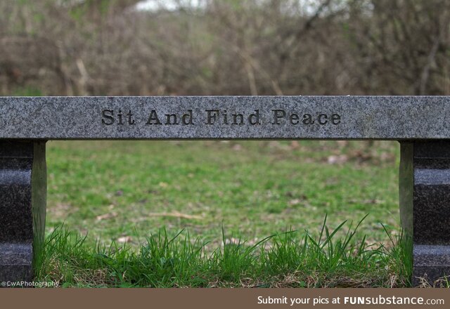 Sit and find peace [OC]