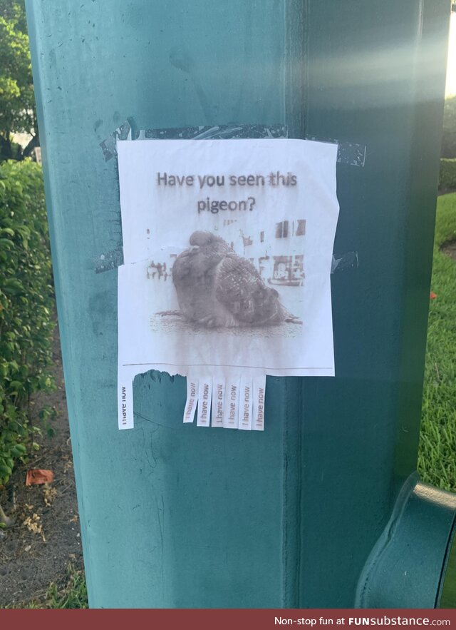 Sign on a lamp post I saw