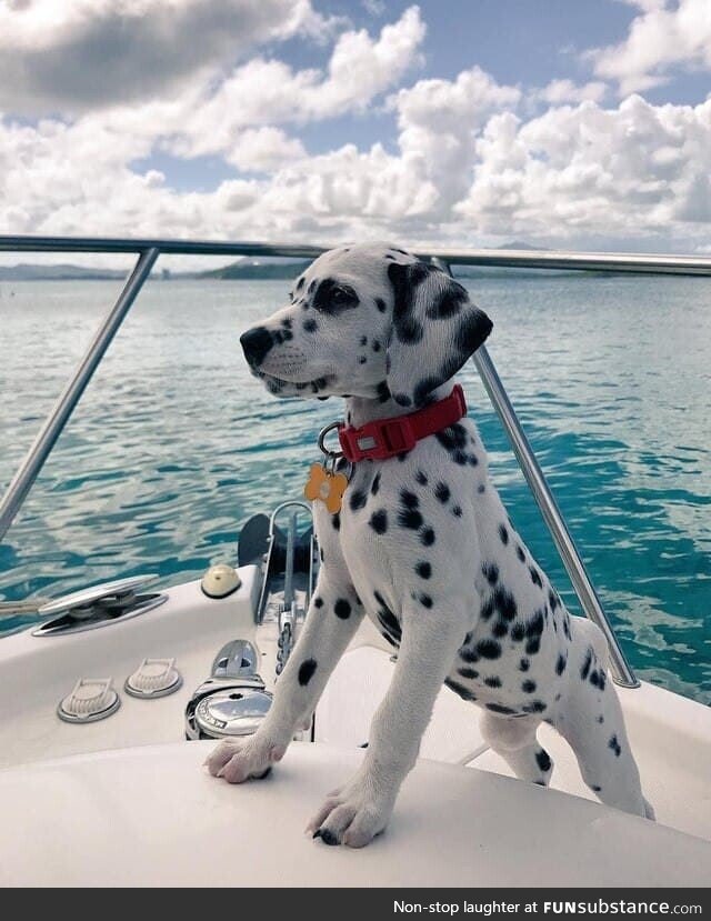 Captain woofy onboard 