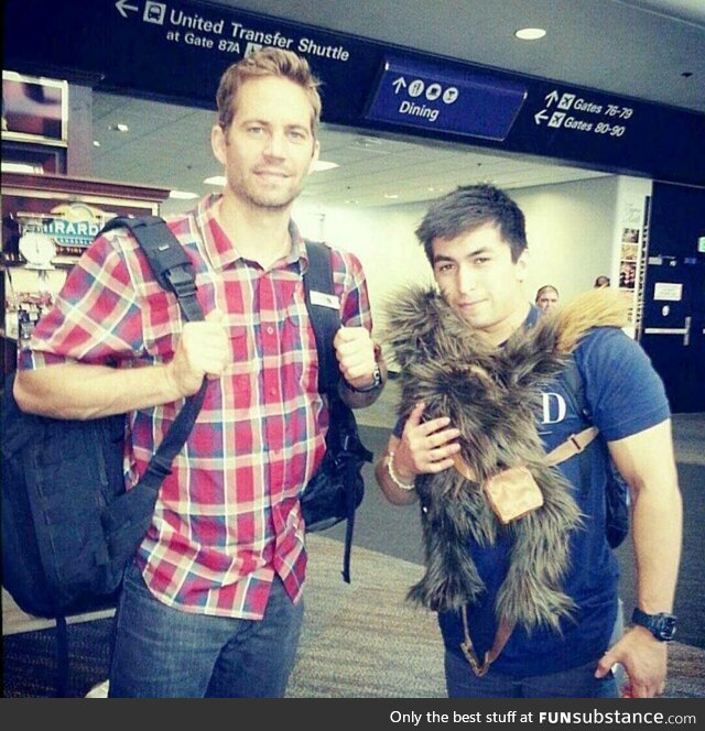 Met Paul Walker at the airport once. Real nice and cool guy