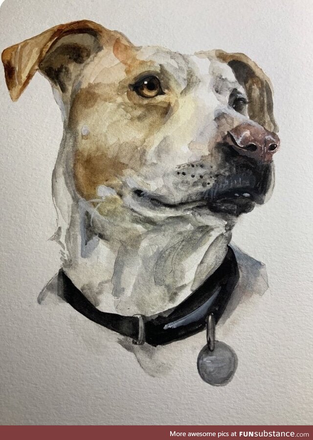 I do watercolor paintings of random ors pets when they ask me to