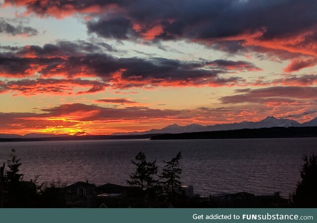 (OC) Sundown in Shoreline, Washington