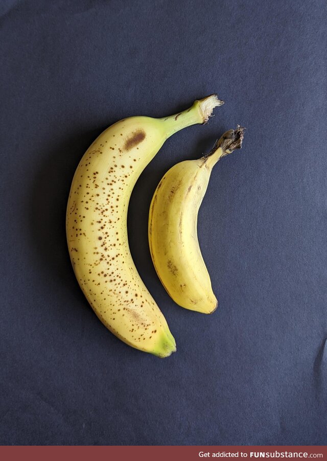 My Banana vs the banana she likes and tells me not to worry about