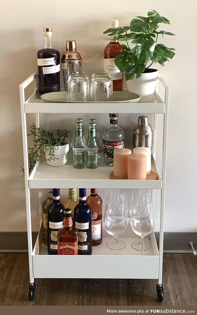 Me and my roommates bar cart