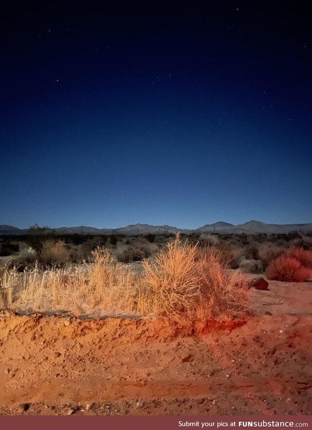 Stars over the Mojave Desert