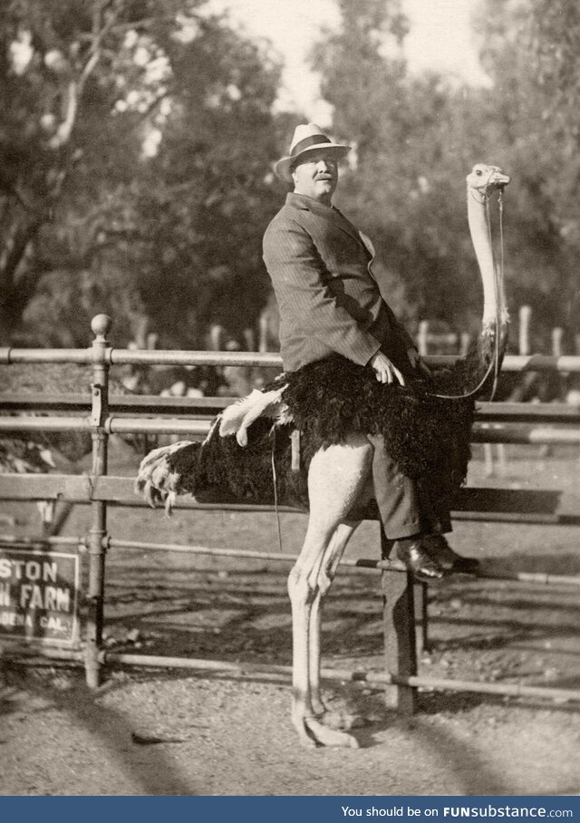 My great-grandfather at the Cawston Ostrich Farm in South Pasadena, California, ca 1920