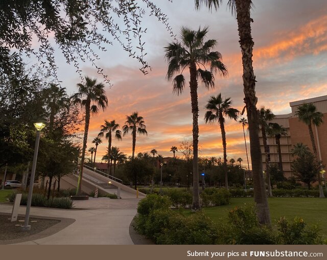 Nothing special, just a pic of the sunset from my college campus. I wanted to share the