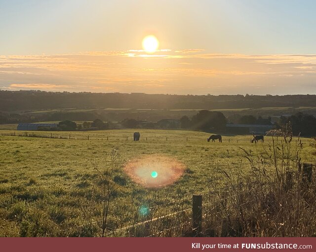 Took this on my way to work this morning. England is beautiful