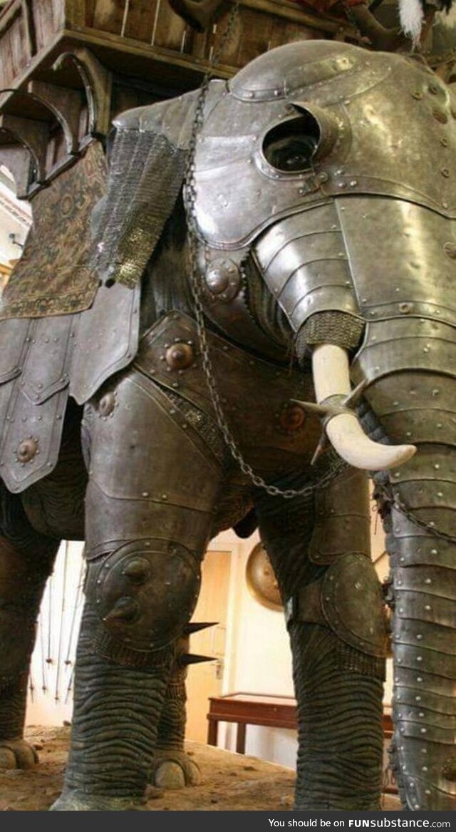 Elephant war armor