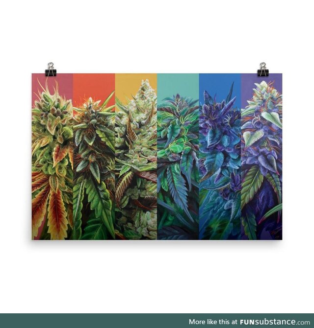 [oc] I’ve had a rainbow cannabis poster living in my head rent free for 7+ months,