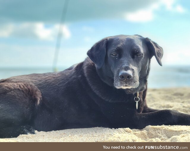 My sweet old lady at the beach