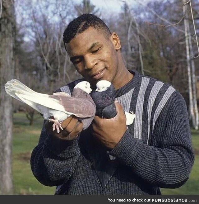 Mike Tyson with his pigeons in 1985