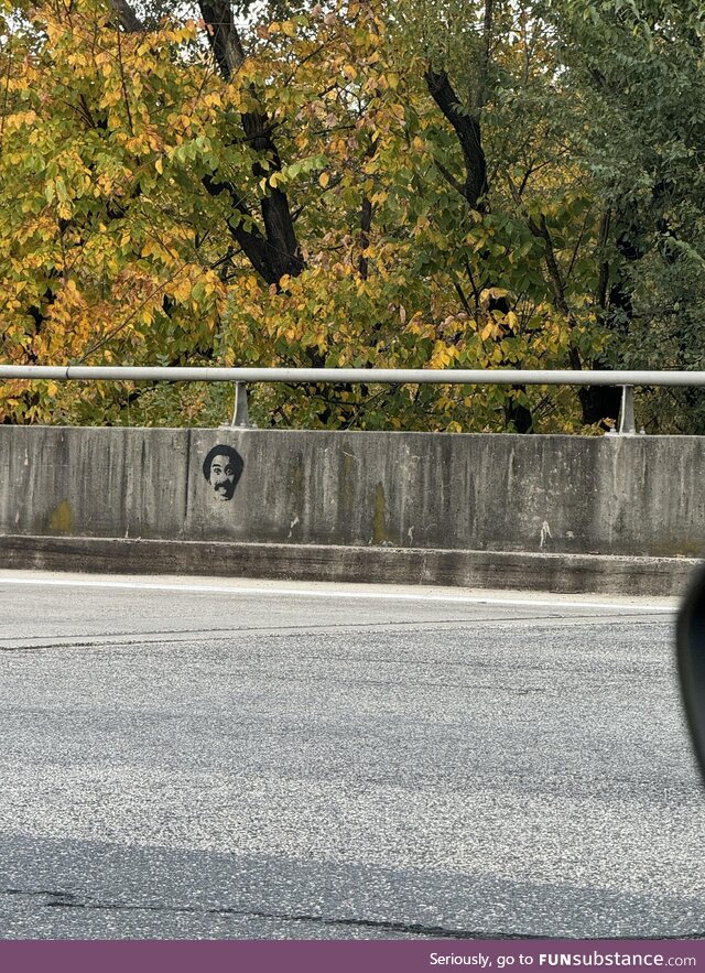 This random graffiti of Richard Pryor on a small bridge just appeared in my area