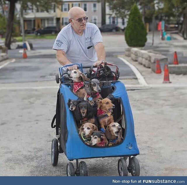 This man has rescued and adopted dogs, who have lost the abbility to use their back legs