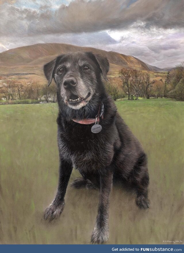 Here's a pastel drawing of Sally, the labrador. Hope you like it! (OC)