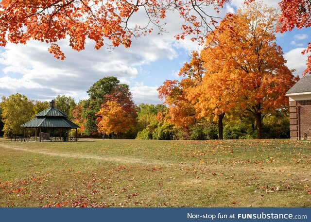 Picture I took at a park during Autumn