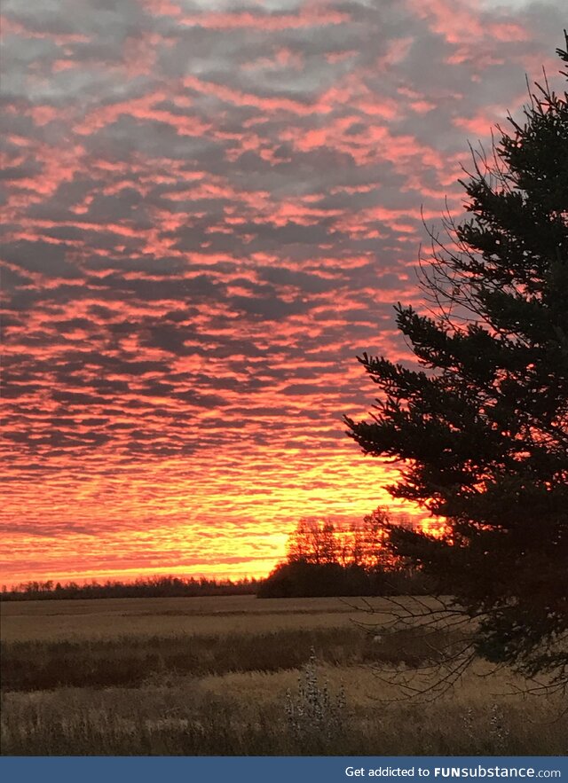 Cool sunset I seen outside my cousins place