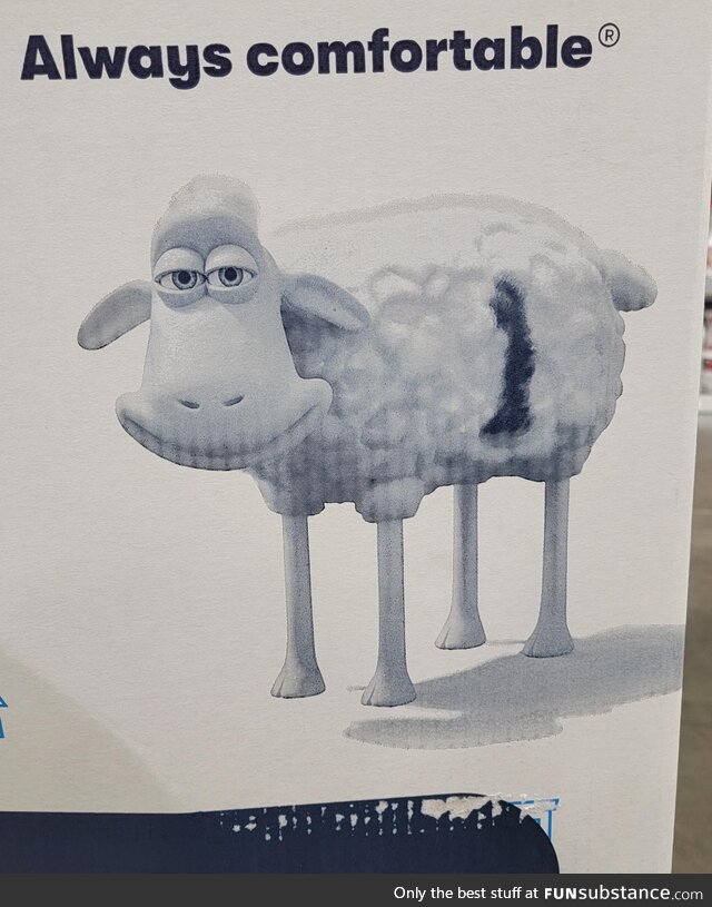 I don't like how this sheep is looking at me