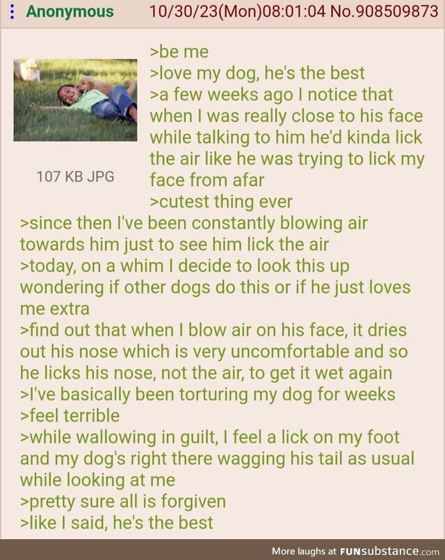 Anon has a dog