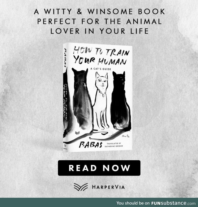 A witty and winsome new way of looking at the complex relationship between cats and