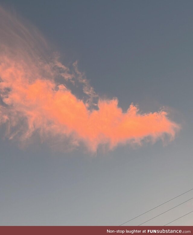 Cloud that looks like bat