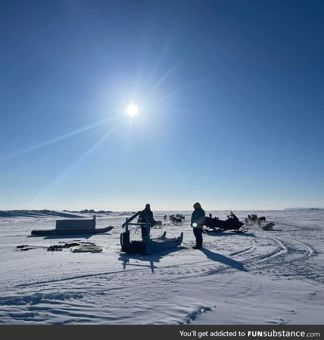 Me and my brother getting the dogs ready to go out mushing. Resolute Bay, Nunavut