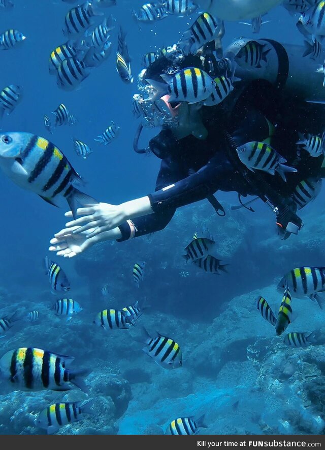 A few years ago, I took this photo while diving in Bali