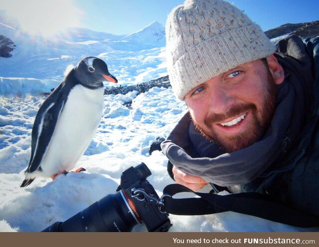 I work as a guide in Antarctica. I was minding my own business when this Penguin wanted a