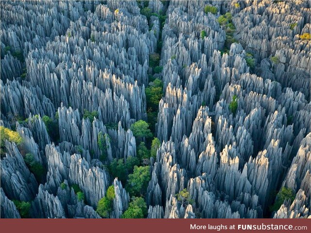 Trippy limestone labyrinth forest at Tsingy de Bemaraha National Park, Madagascar