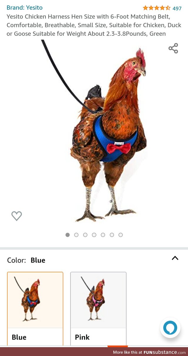 My dad is raising roosters again, he asked me to buy him this. I had no idea they existed