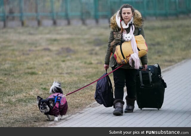 Ukrainian refugee with her dog and two cats crosses the border into Poland