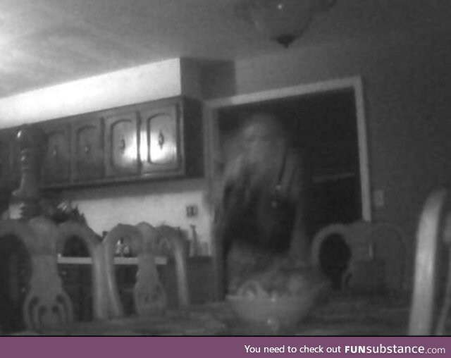 This was captured at 4:28 am on my security camera back in 2016