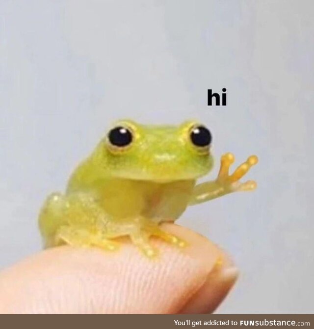Froggy Says Hi