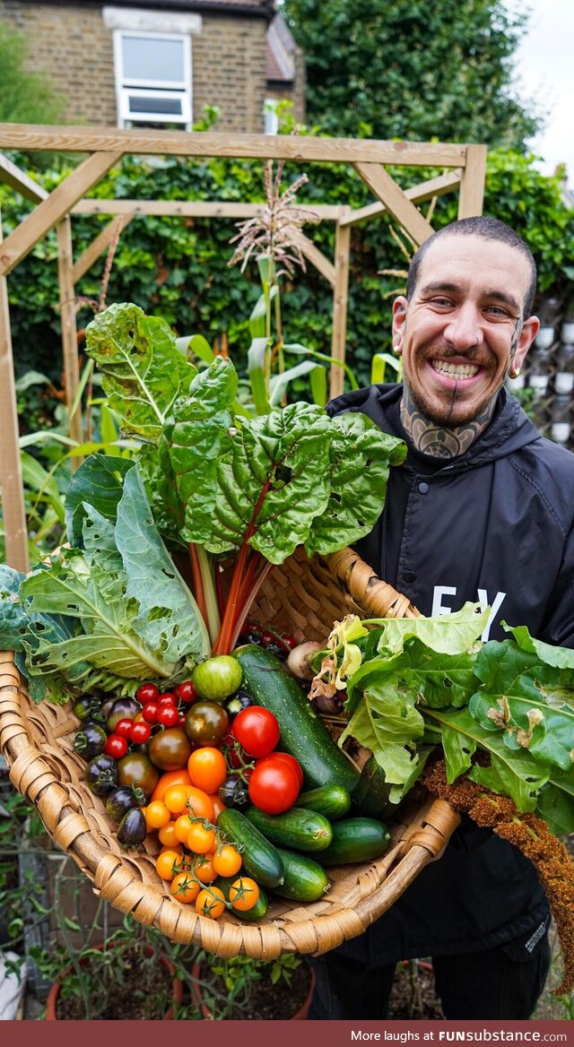 I transformed my front lawn in a vegetable Garden for my neighbours!