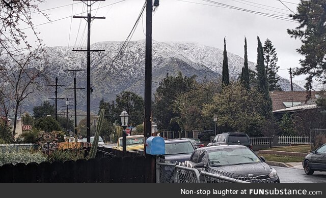 Snow in Los Angeles