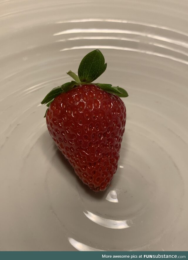 Random strawberry plant popped up in a planter on my deck and produced this perfect