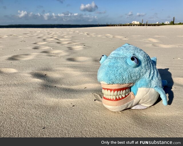 National Play in the Sand Day, with one of my teeth puppets, taken for my job