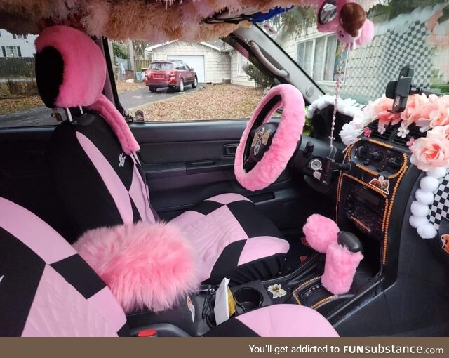 My niece just got her first car and was excited to decorate the interior. My niece is