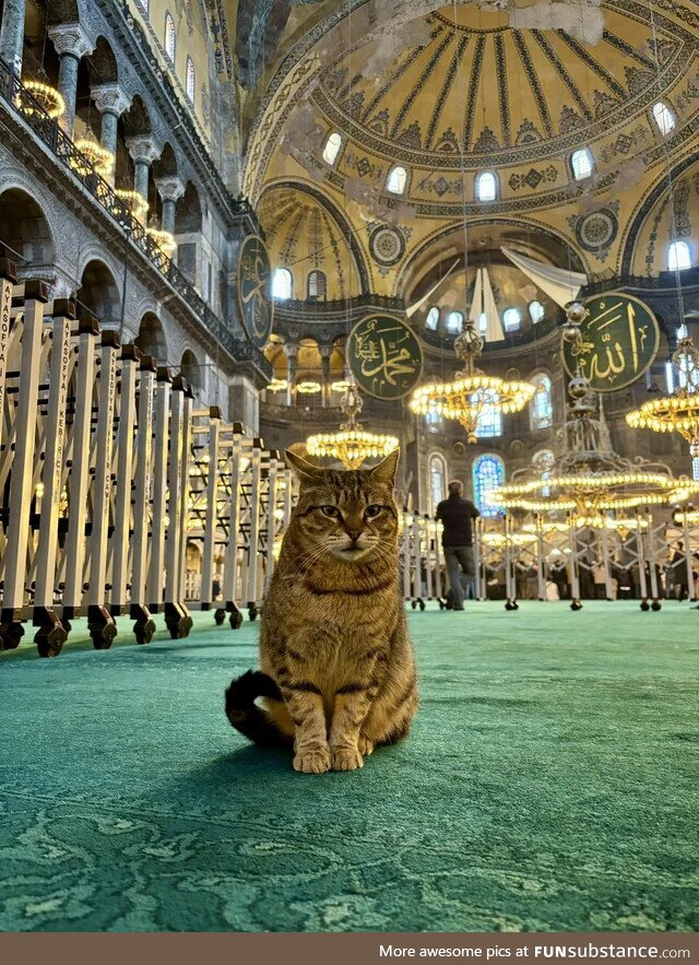 A Turkish mosque