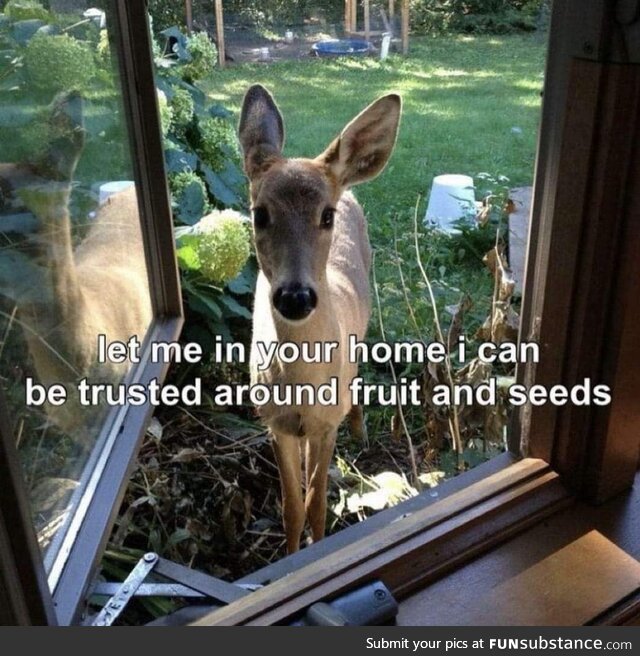 Oh deer