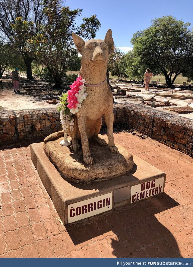 The corrigin dog cemetery, western australia