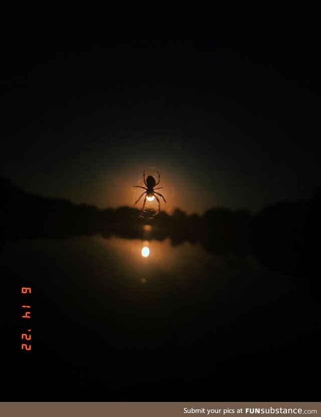 Strawberry moon/spider moon